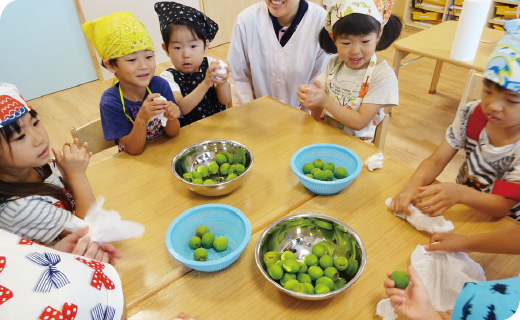 給食